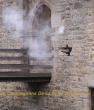 Armes a feu