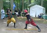 Combats